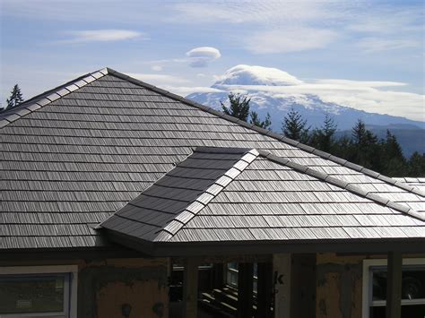 metal panel houses|decorative metal roofing panels.